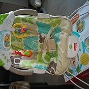 fisher-price rainforest deluxe baby bouncer instructions