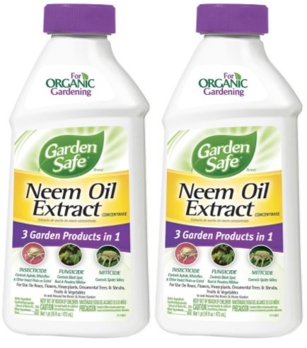 garden safe neem oil extract mixing instructions